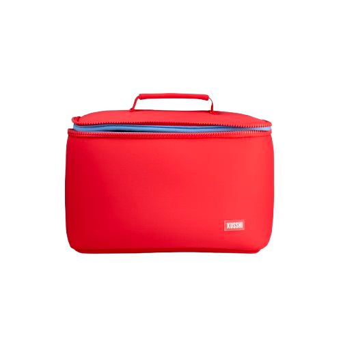 large-train-case