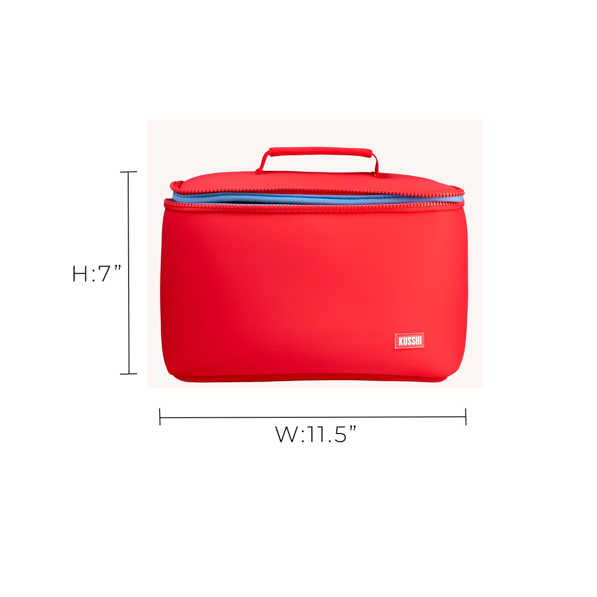 Large Train Case